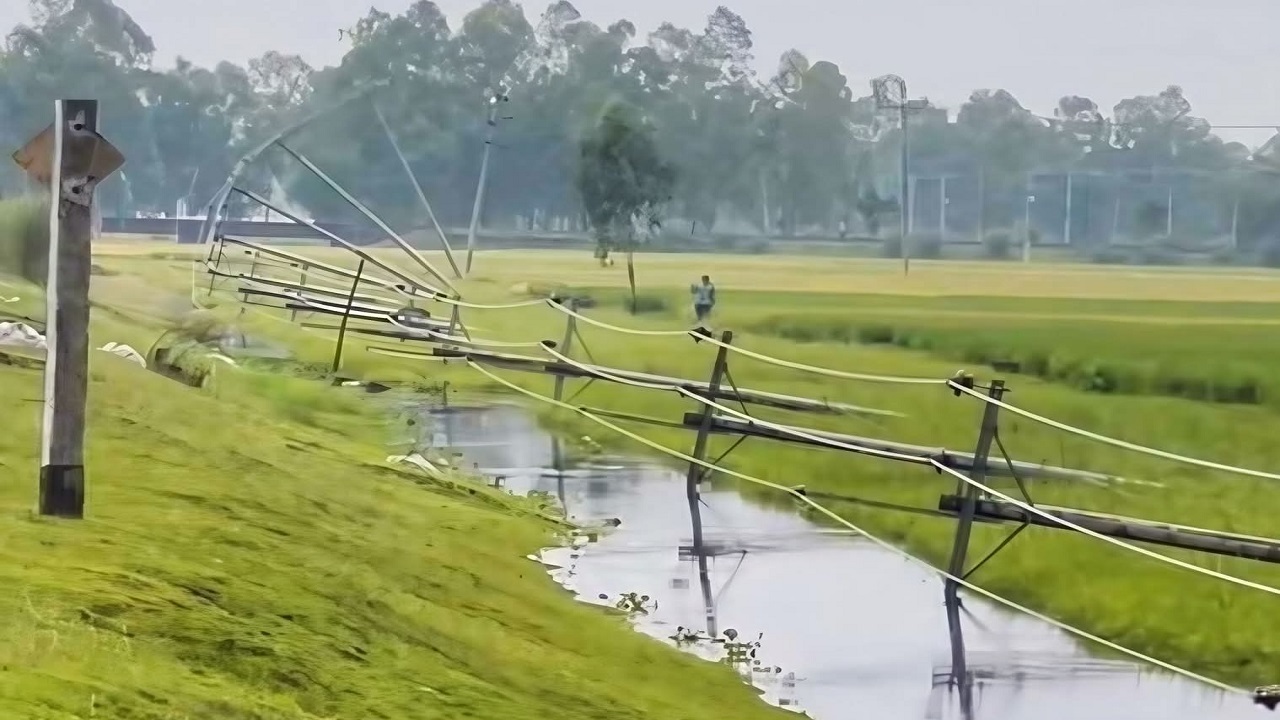 দিনাজপুরে কালবৈশাখী ঝড়ে পিলার ভেঙে বিরলে বিদ্যুৎ সরবরাহ বন্ধ