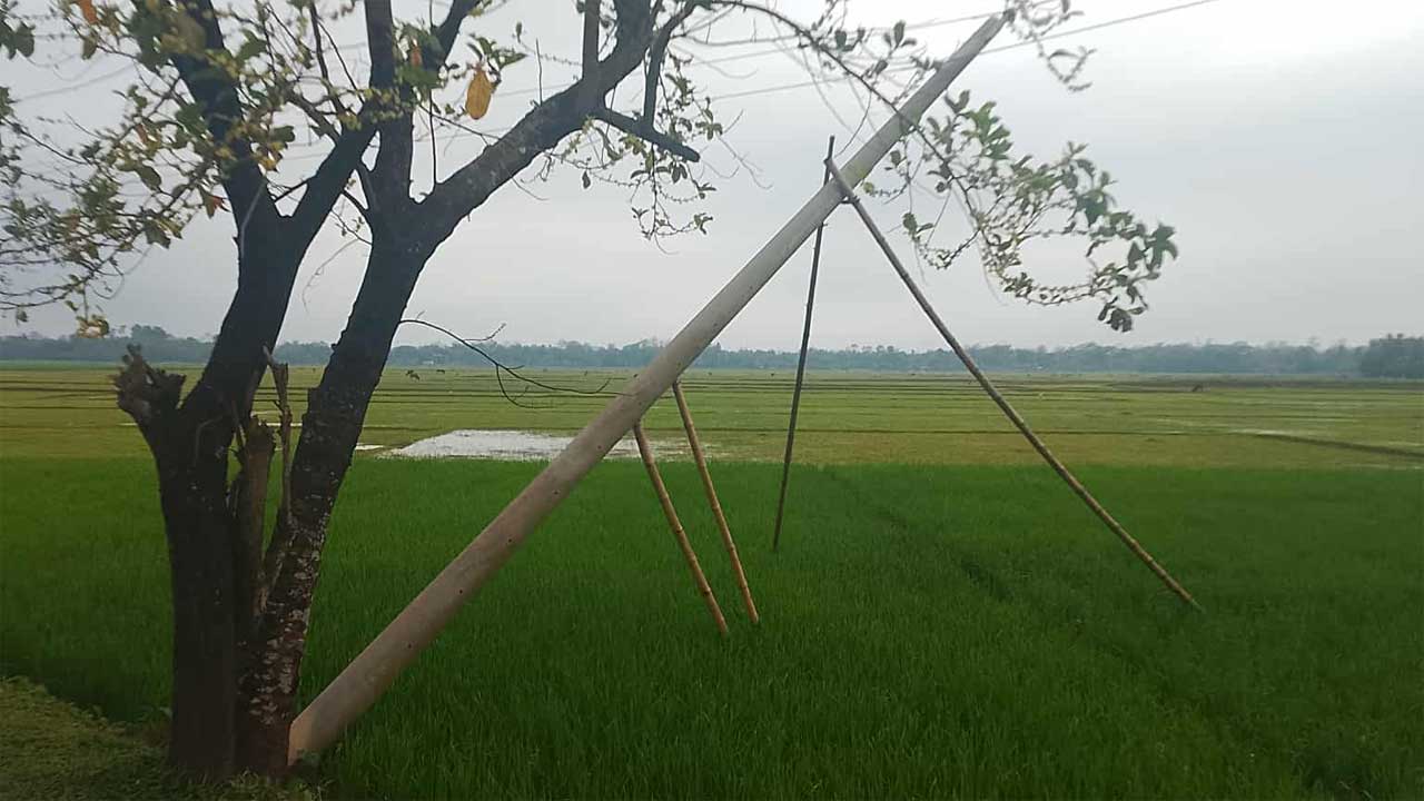 দোয়ারাবাজার উপজেলার চাইরগাঁও এলাকায় কৃষি জমিতে হেলে পড়া বিদ্যুতের খুঁটি