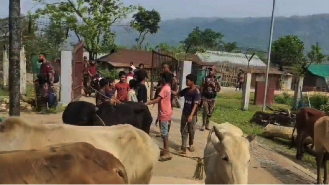 দোয়ারাবাজারে ভারতীয় গরুসহ ৩২ লাখ টাকার চোরাই পণ্য আটক