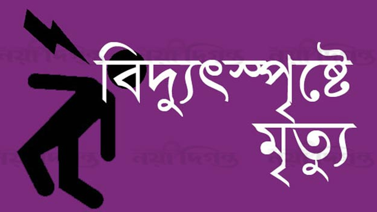 বিদ্যুৎস্পৃষ্টে বৃদ্ধের মৃত্যু