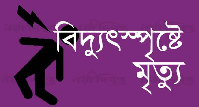 বিদ্যুৎস্পৃষ্টে মৃত্যু