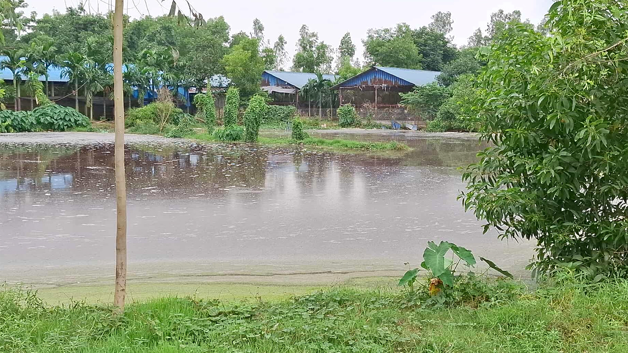 পোল্ট্রি খামারের কারণে দূষণ