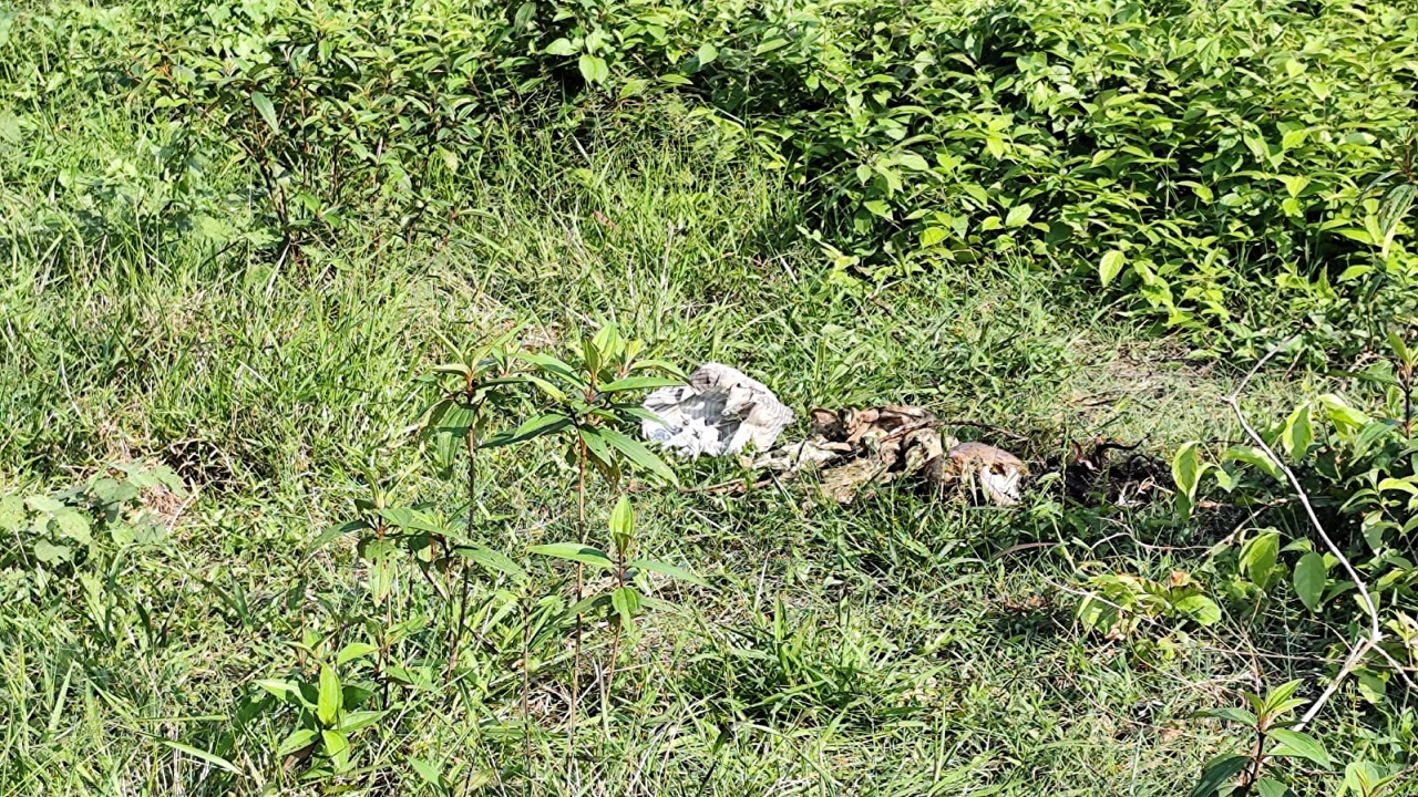 ফটিকছড়িতে এবার টিলার খাদে মিলল মানুষের মাথার খুলি