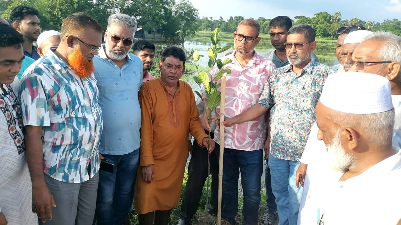 ফেনীতে শহীদদের স্মরণে বিএনপির বৃক্ষরোপণ কর্মসূচি শুরু