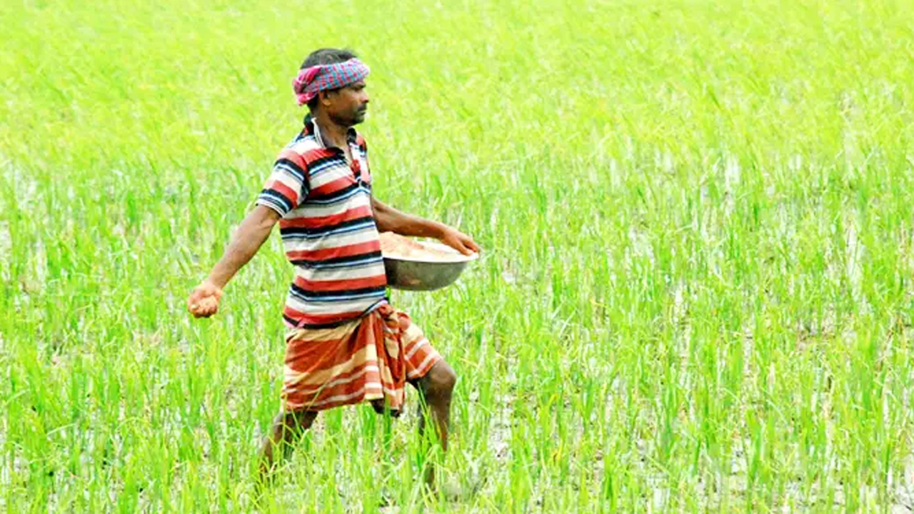 বাংলাদেশে প্রয়োজনীয় সারের বেশিভাগই আমদানি করা হয়