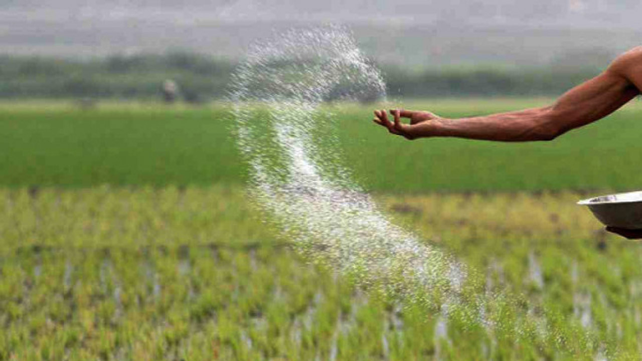 লালমনিরহাটে নন-ইউরিয়া সার সঙ্কট