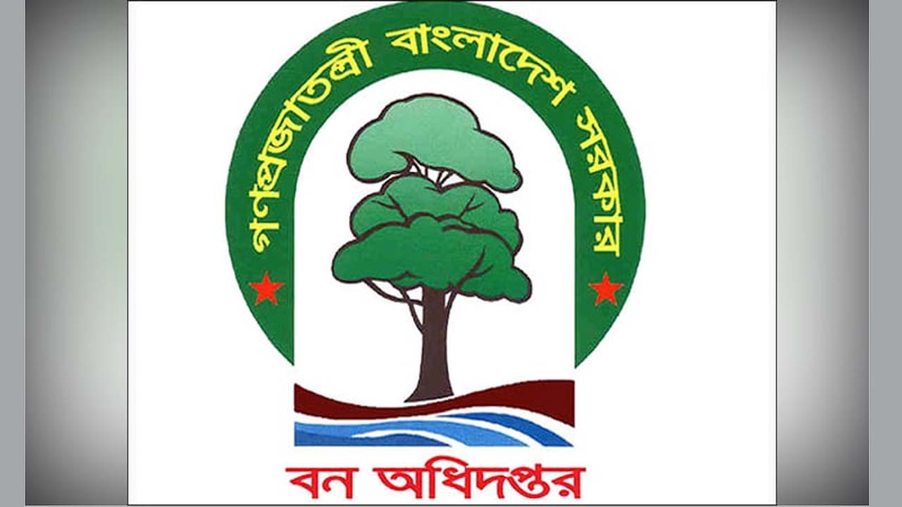 বন অধিদফতর