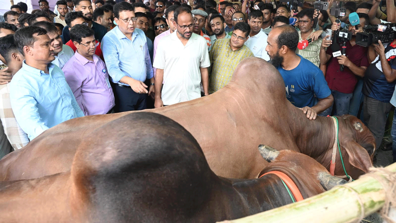 গাবতলীর হাট পরিদর্শনে প্রাণিসম্পদ প্রতিমন্ত্রী