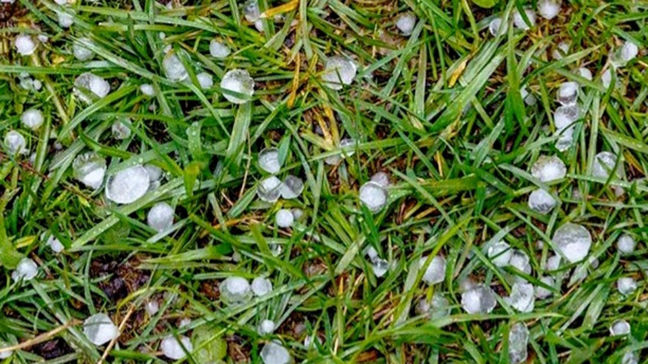 হঠাৎ শিলাবৃষ্টি, ফসলের ব্যাপক ক্ষয়ক্ষতির সম্ভাবনা