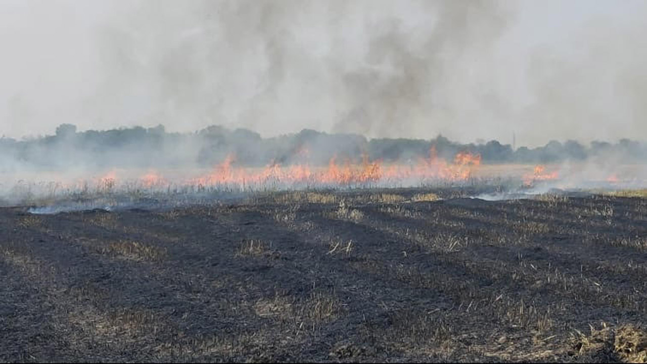 ক্ষেতে আগুন জ্বলছে