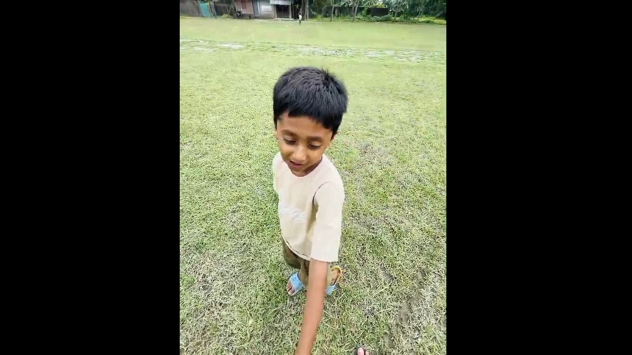 গাংনীতে স্কুল ফিডিংয়ের গাড়ির চাকায় পিষ্ট হয়ে প্রথম শ্রেণির শিক্ষার্থীর মৃত্যু