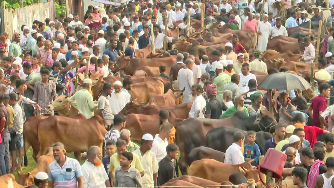 ঐতিহ্যের গজারিয়া হাটে উপচে পড়া ভিড়