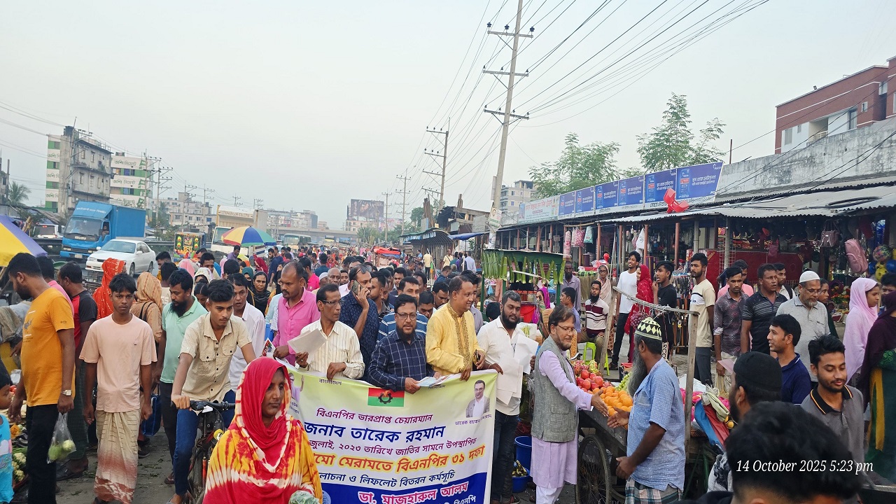 তারেক রহমান রাষ্ট্র সংস্কারের স্বপ্নদ্রষ্টা: ডা: মাজহারুল আলম