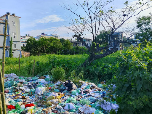 পলিথিনে ভরে আছে ডোবা : নয়া দিগন্ত