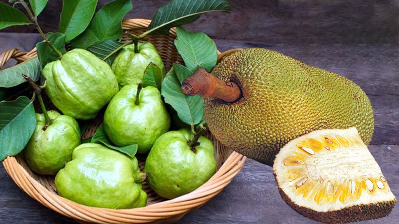 কাঁঠাল-পেয়ারা