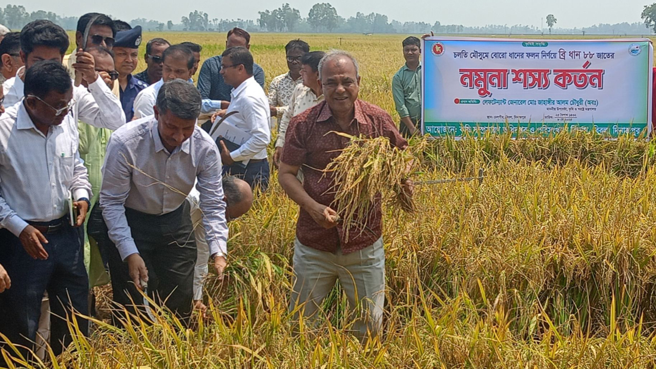 দিনাজপুরে বোরো ব্রি ধান-৮৮ কাটার উদ্বোধন করেন কৃষি ও স্বরাষ্ট্র উপদেষ্টা লেফটেন্যান্ট জেনারেল (অব.) জাহাঙ্গীর আলম