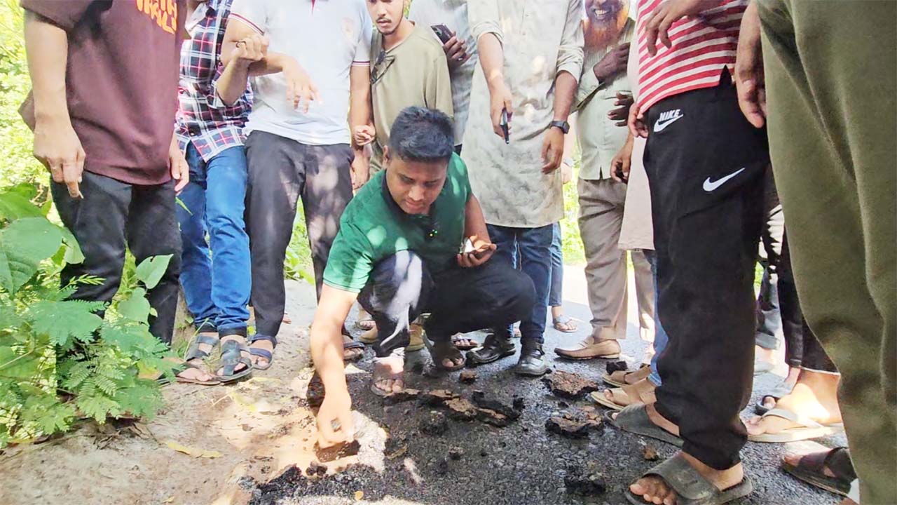 সড়কের কার্পেটিং কাজ পরিদর্শনে হাসনাত আব্দুল্লাহ