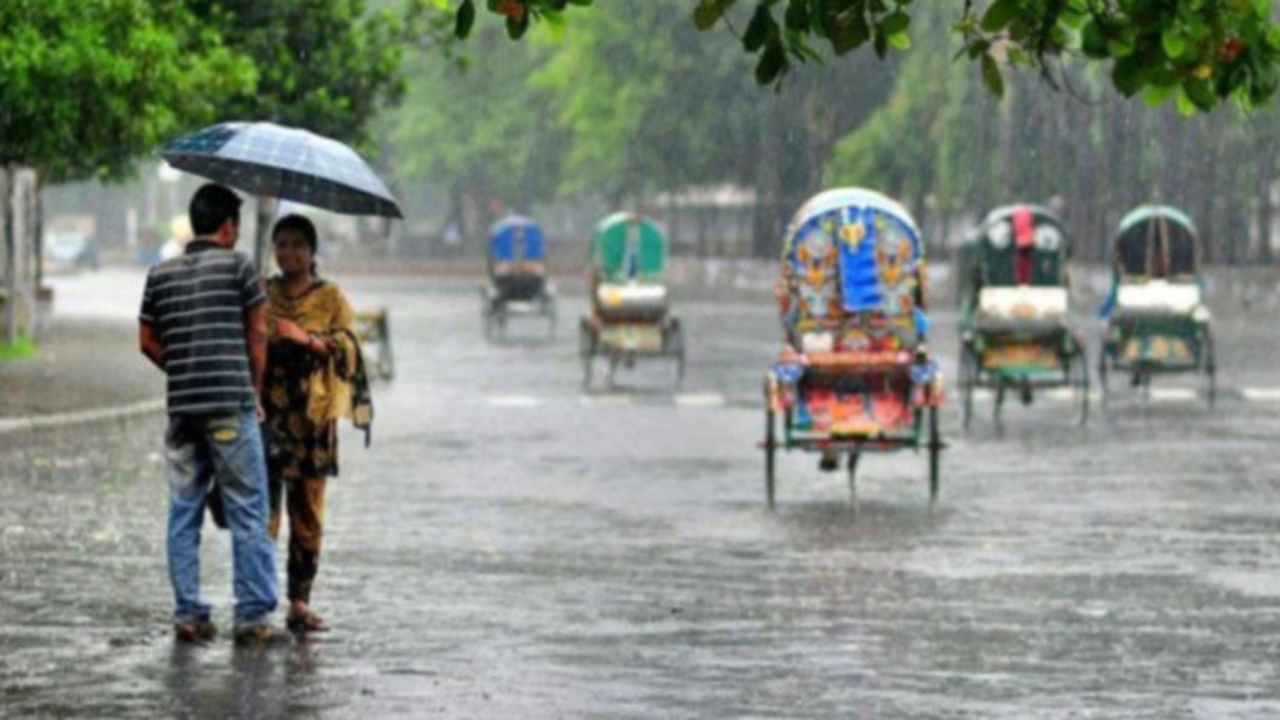 বৃষ্টিভেজা রাস্তায় জীবনের নীরব চলাচল