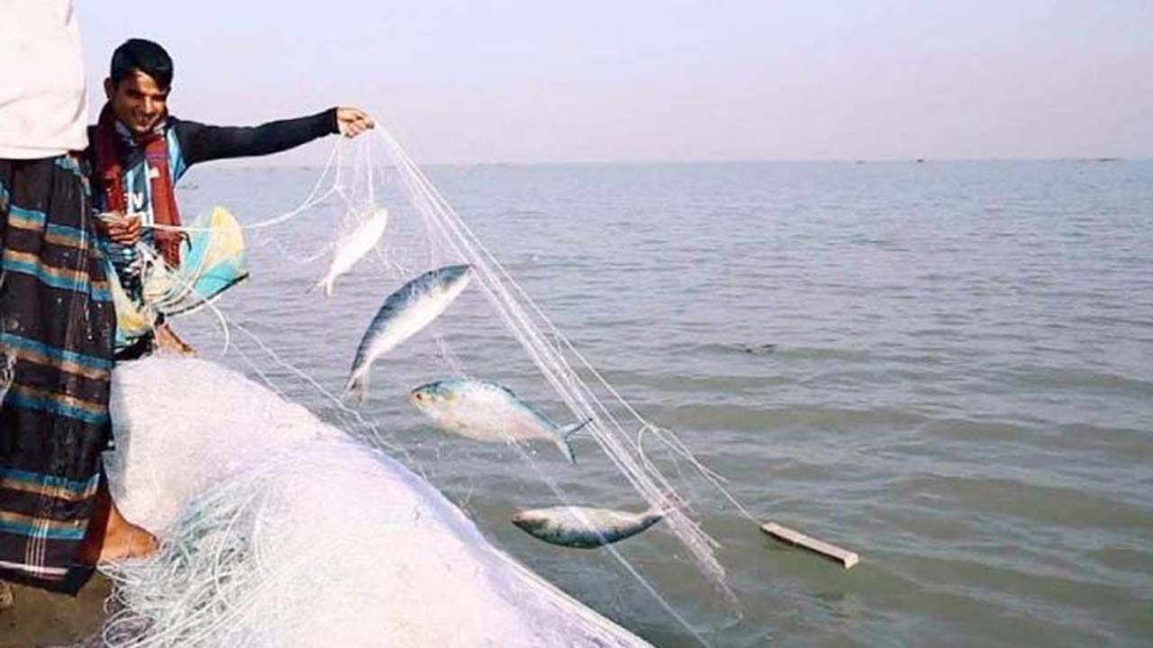 ইলিশ মাছ ধরার দৃশ্য