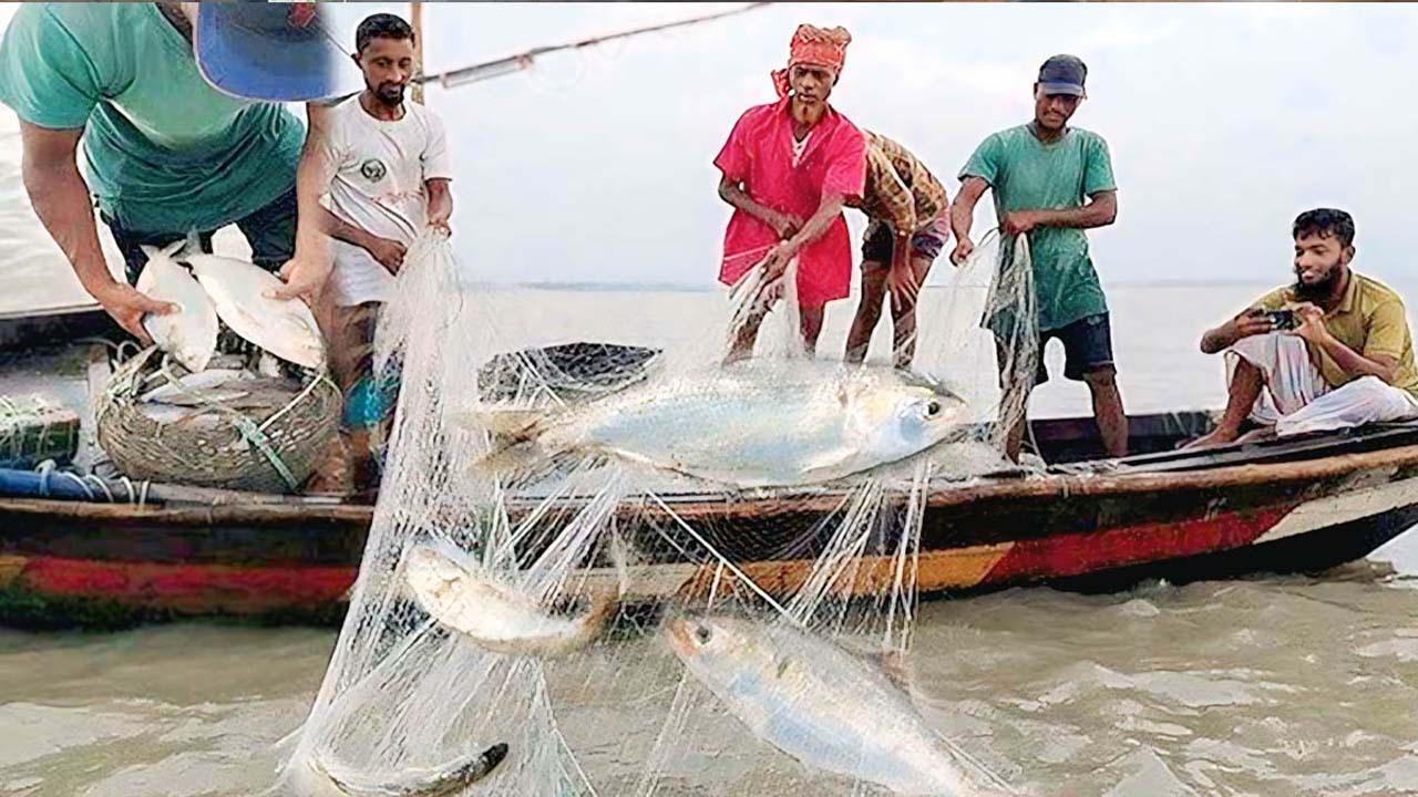 জেলেদের মাছ ধরার দৃশ্য