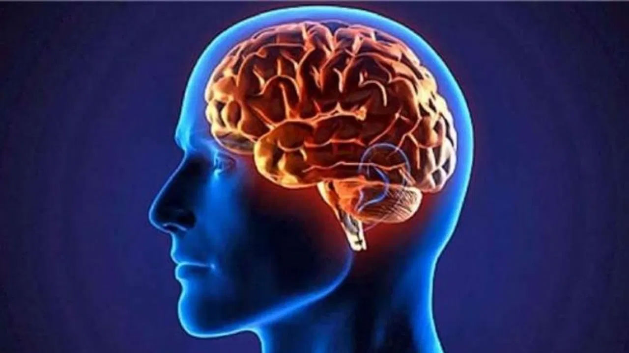 অভ্যাস বদলালেই বদলাবে মস্তিষ্ক!