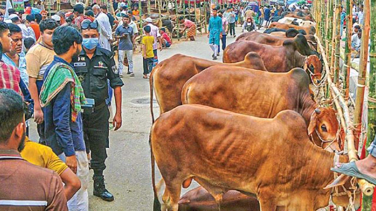 পশুর হাট