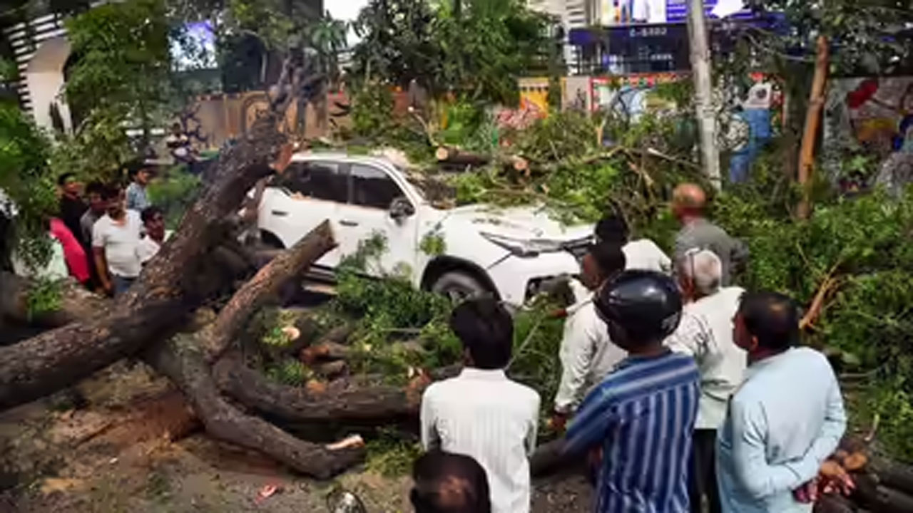 ভারতের উত্তর প্রদেশে বজ্রঝড়ে সড়কে গাছ পড়ে গেছে