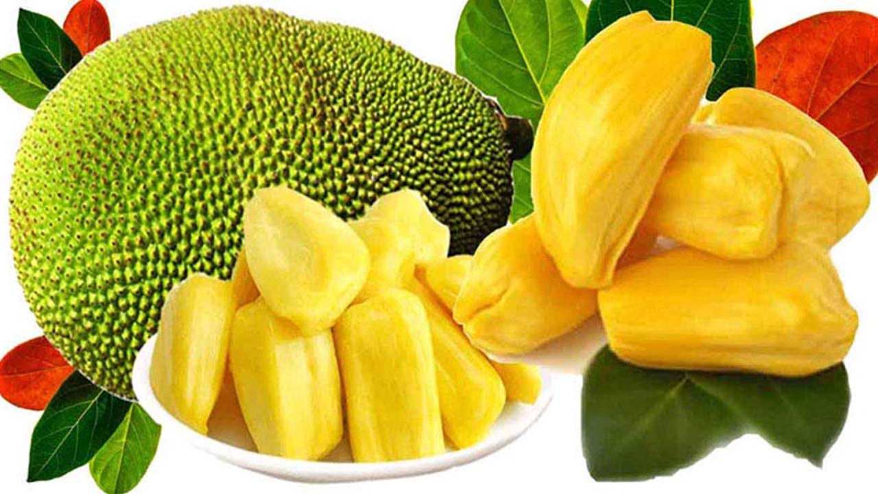 পাকা কাঁঠাল