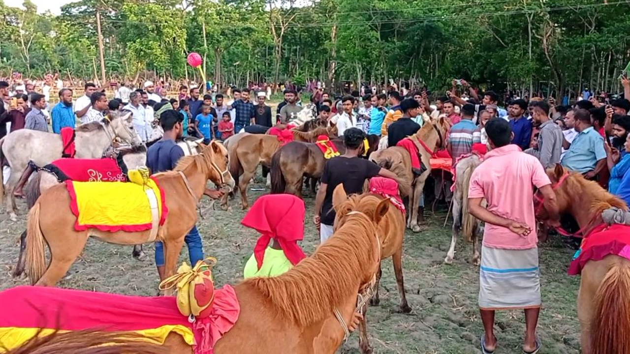 ঝালকাঠির কাঠালিয়ায় চৈত্র সংক্রান্তির ঘোড় দৌড়