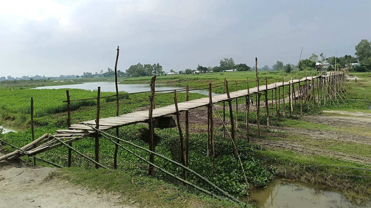শাখা নদীর উপর বাঁশের সাঁকো