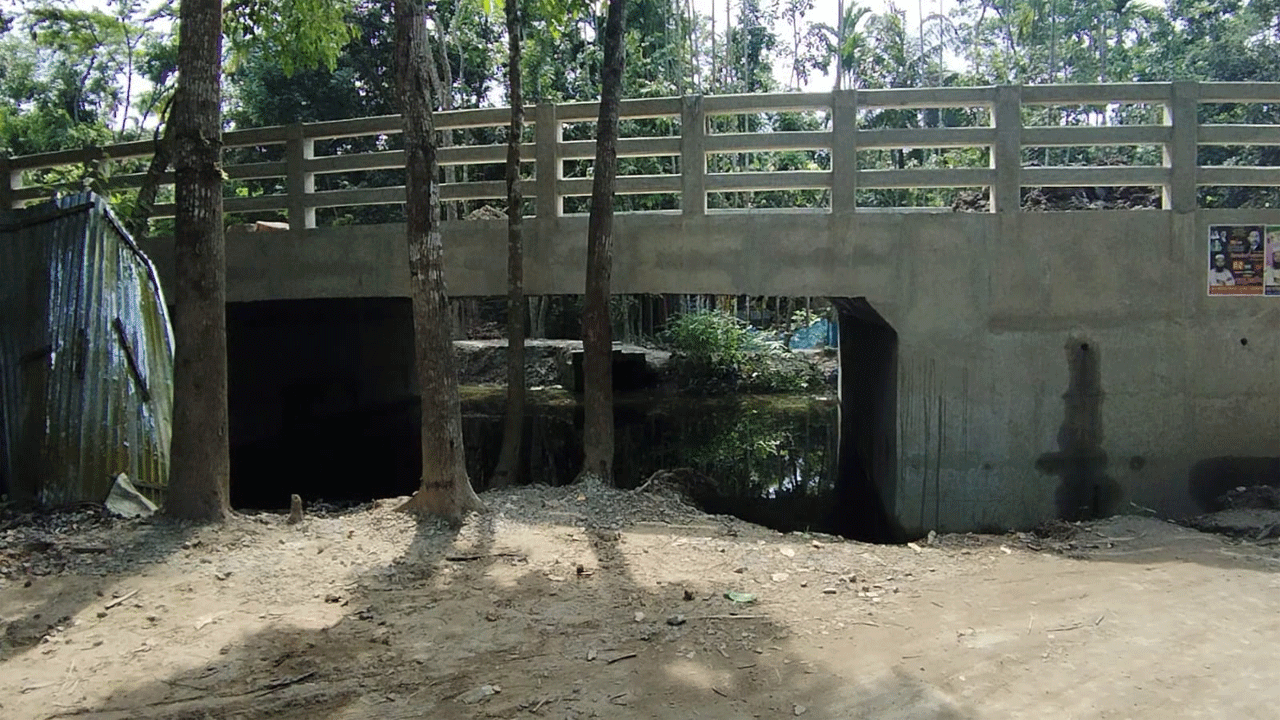 অপরিকল্পিত সেতু