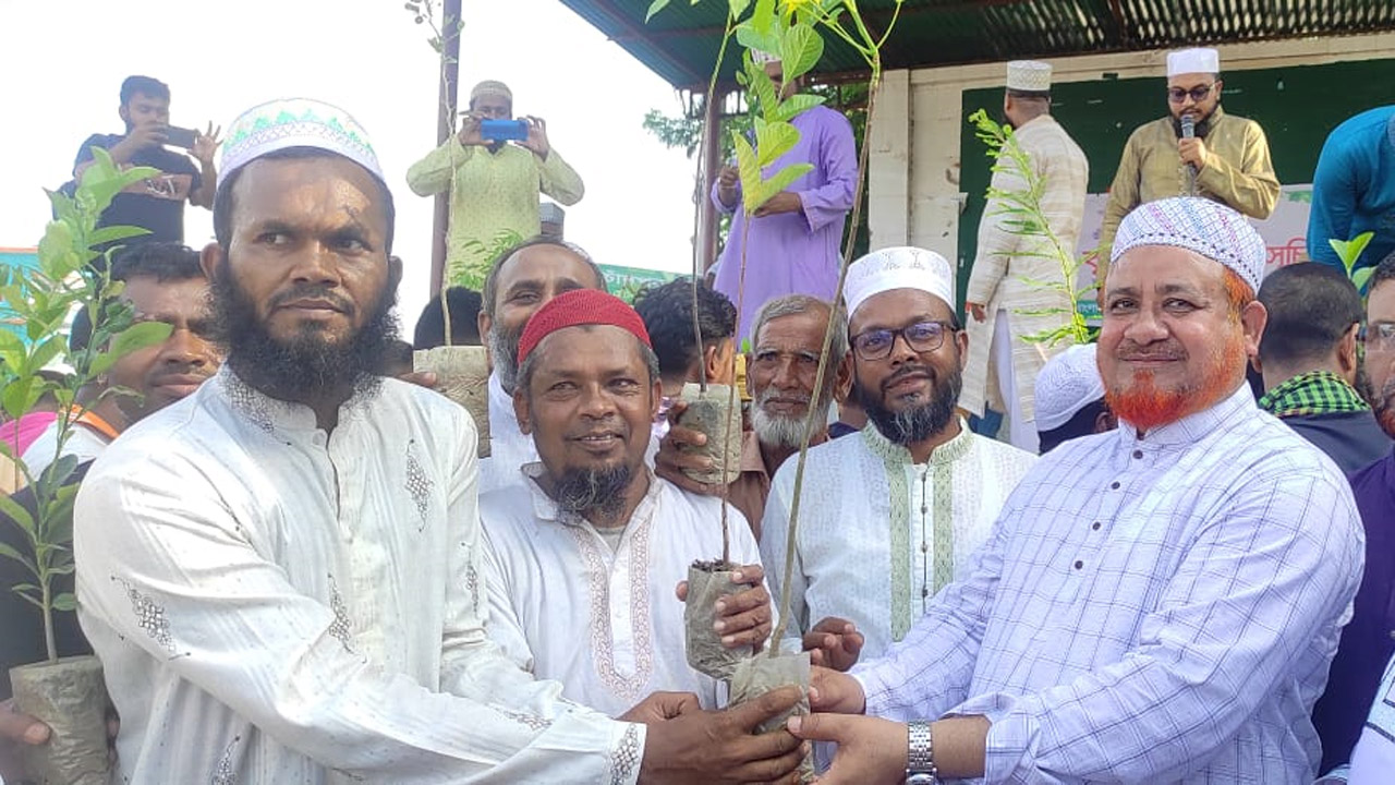 পরিবেশ রক্ষায় চুয়াডাঙ্গায় ৫০ হাজার গাছ রোপণের উদ্যোগ জামায়াতের