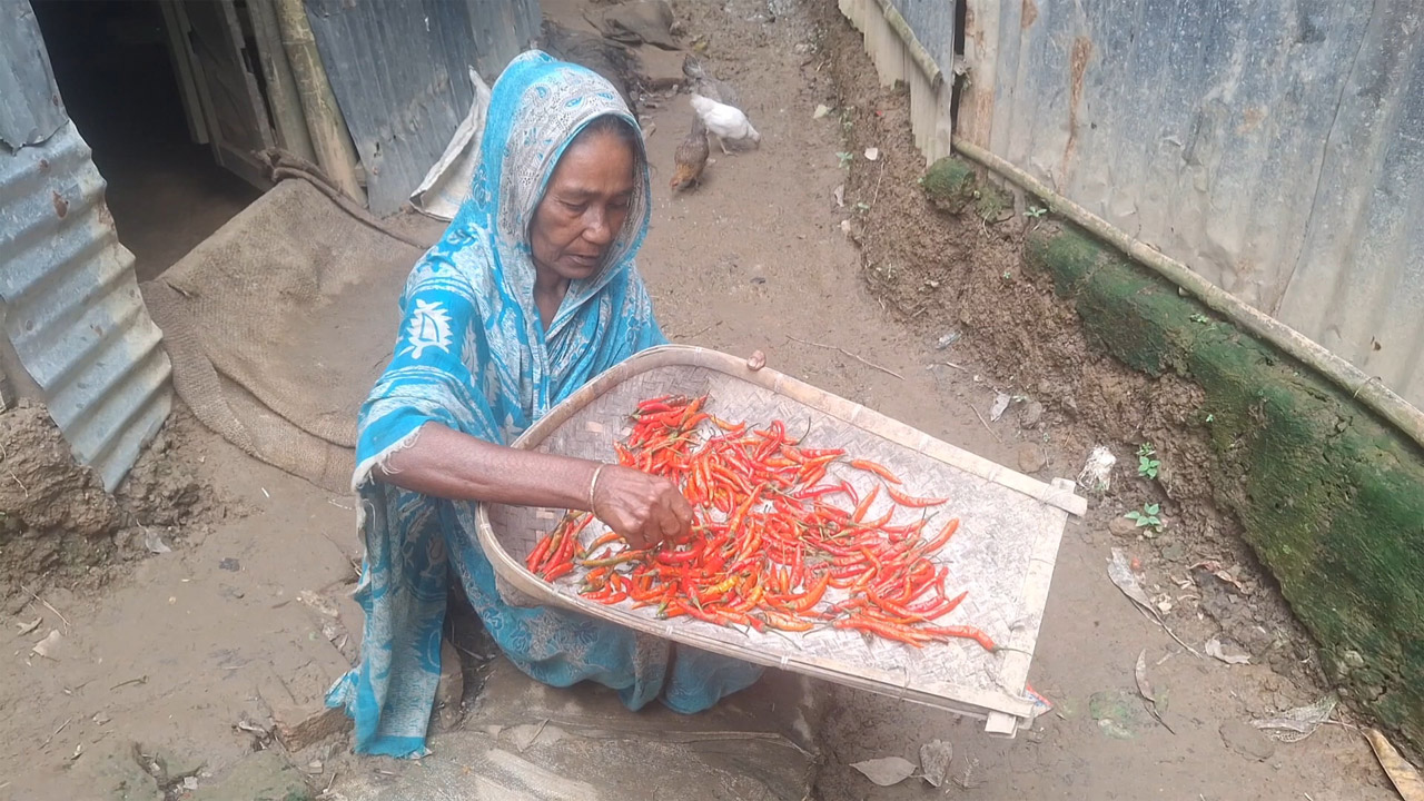 জখাতুন বিবি