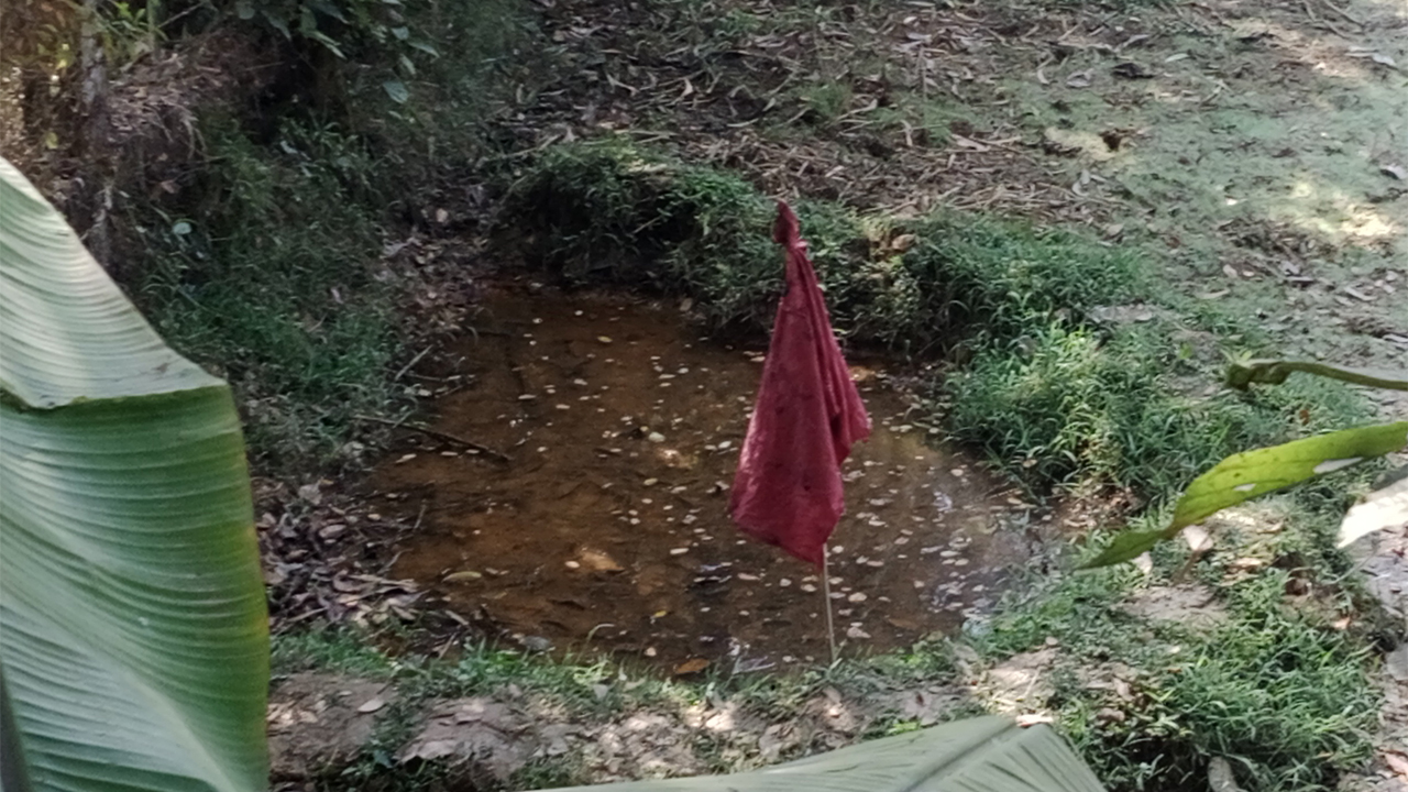 ঘিরে রাখা পরিত্যক্ত গ্রেনেড