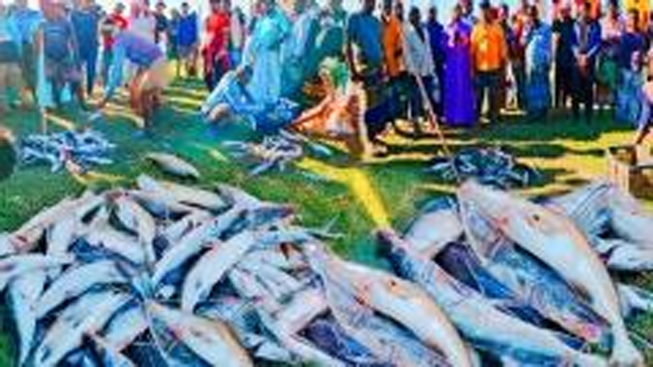 উৎসবমুখর মাছের হাট