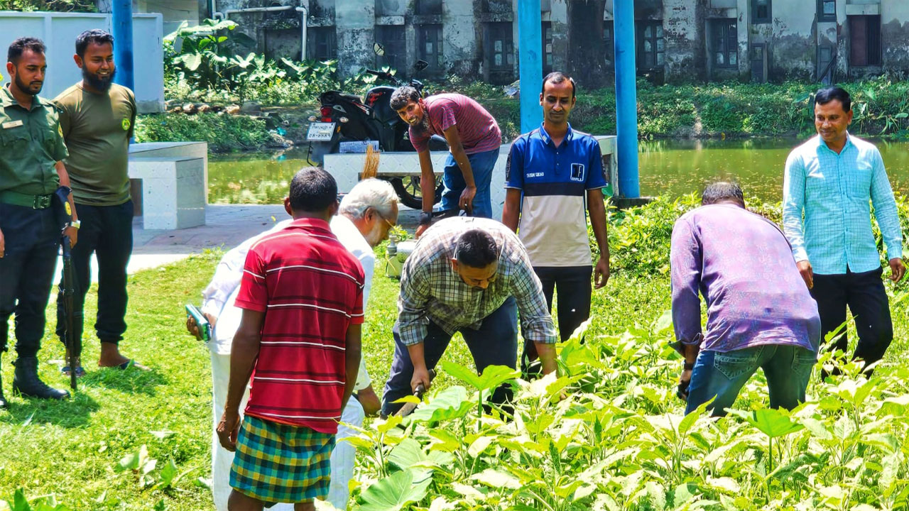 কাউখালী উপজেলা প্রশাসনের সমন্বিত অভিযান
