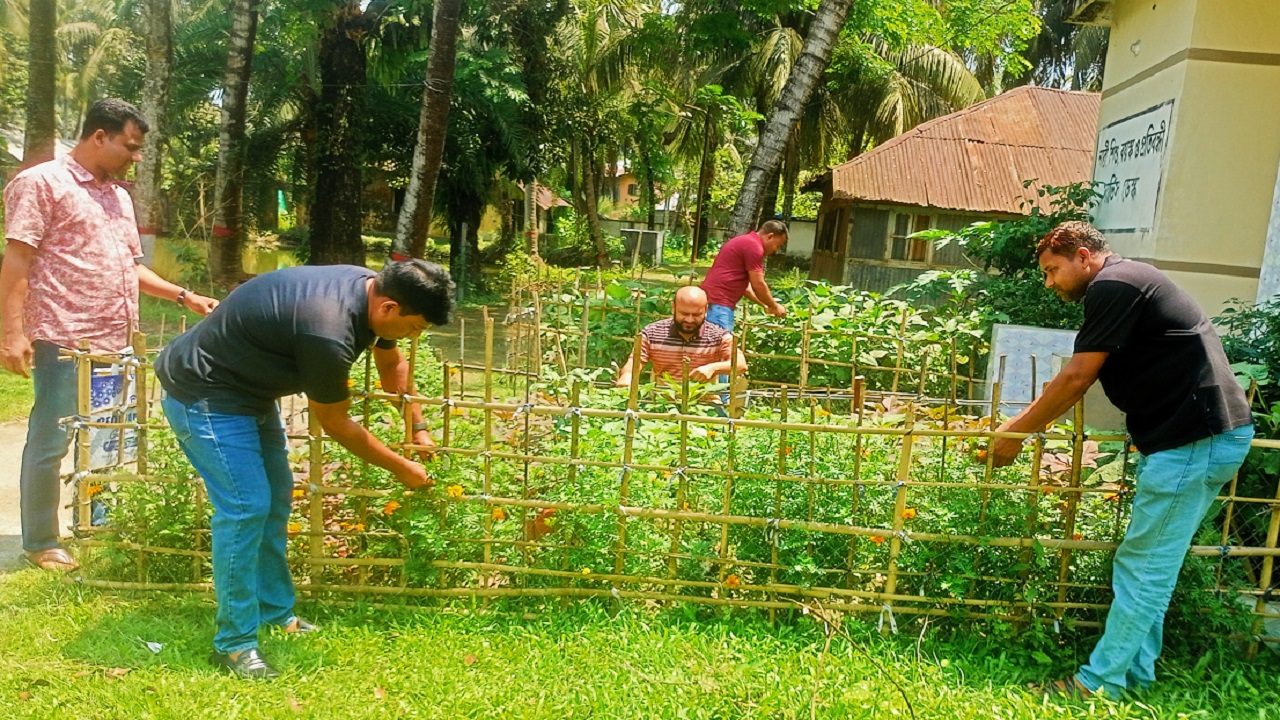 কাউখালী থানা প্রাঙ্গণে সবজি চাষ, ওসির উদ্যোগে মেটানো হচ্ছে পুষ্টির চাহিদা