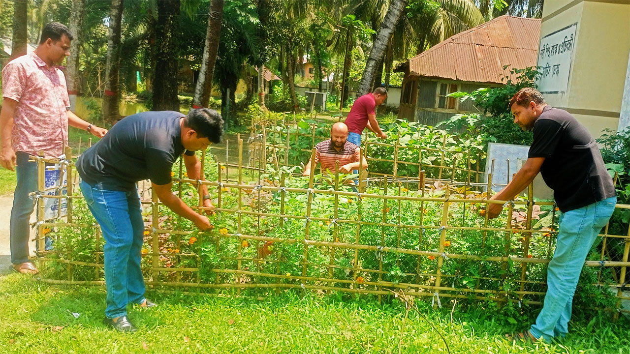 থানা প্রাঙ্গণে সবজি চাষ