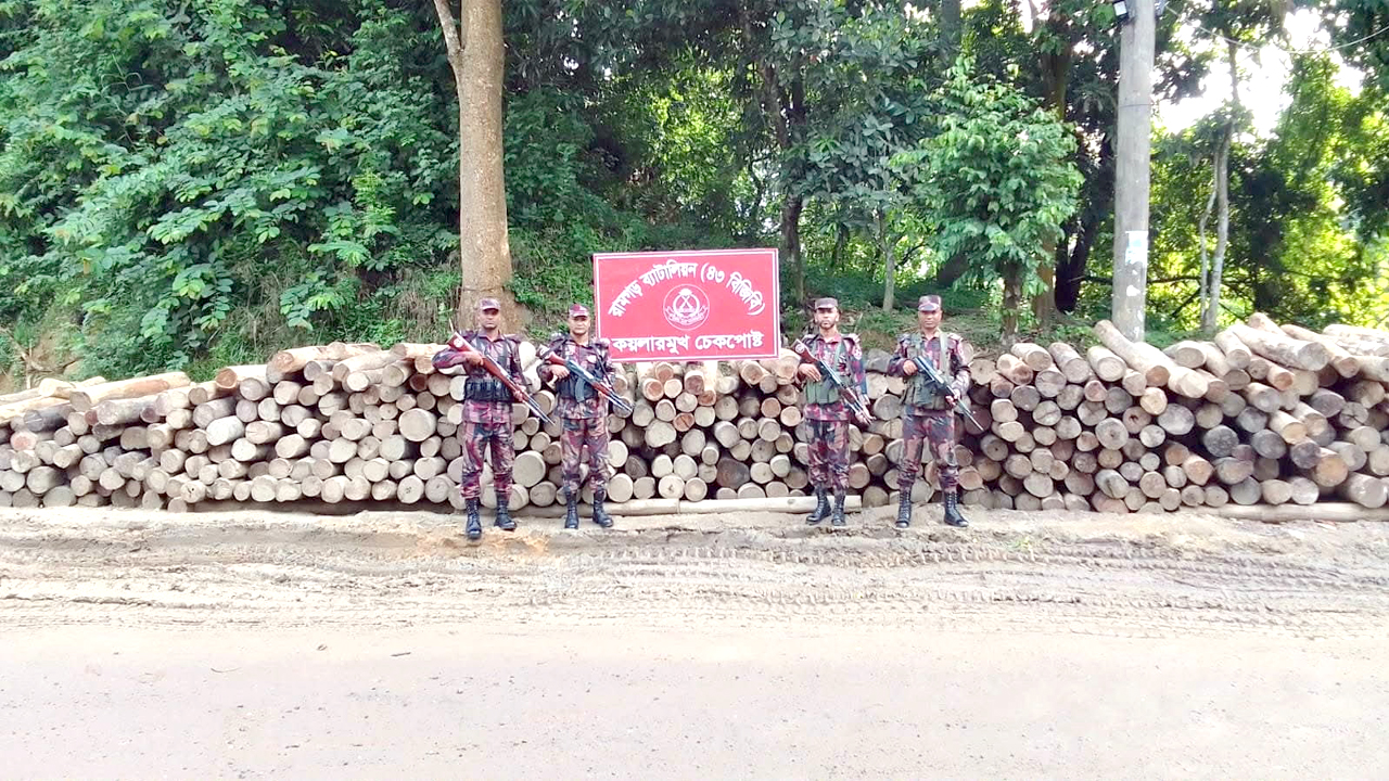 জব্দকৃত কাঠ