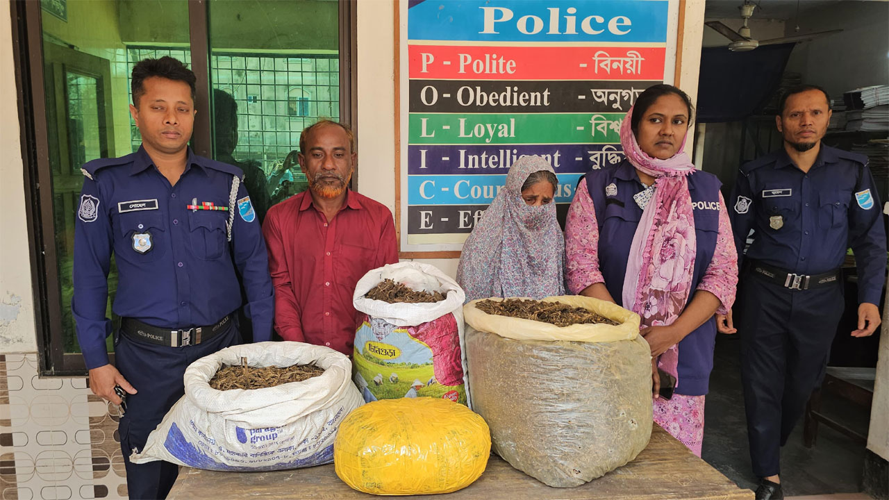 অভিযানে উদ্ধার করা গাঁজা ও গ্রেফতারতৃতরা
