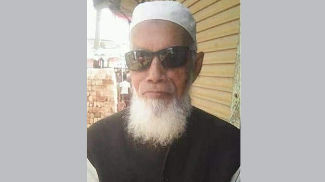 নিহত ভাষা সৈনিক শতবর্ষী সামসুল ইসলাম হায়দার