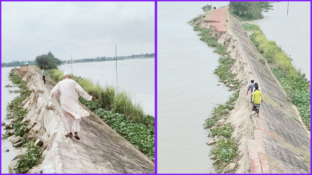 নদীগর্ভে বিলীন সড়ক, অবশিষ্ট অংশ দিয়ে ঝুঁকি নিয়ে পার হচ্ছেন স্থানীয়রা