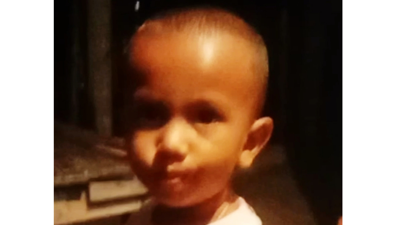 শিয়ালের কামড়ে মৃত শিশু।