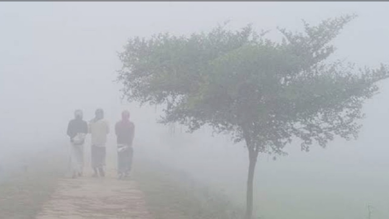 হাড় কাঁপানো শীত ও ঘন কুয়াশায় অচল কয়রা, চরম দুর্ভোগে খেটে খাওয়া মানুষ