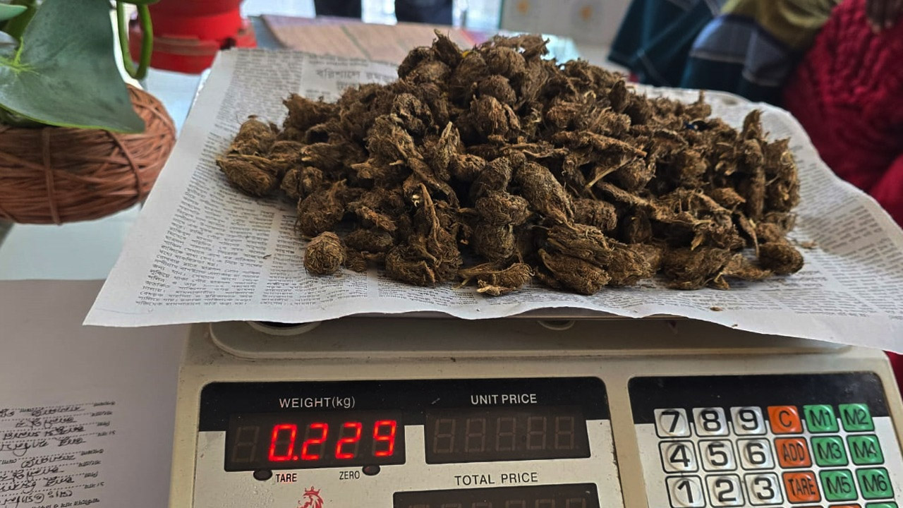 কুয়াকাটায় মাদকবিরোধী অভিযানে গাঁজাসহ যুবক আটক