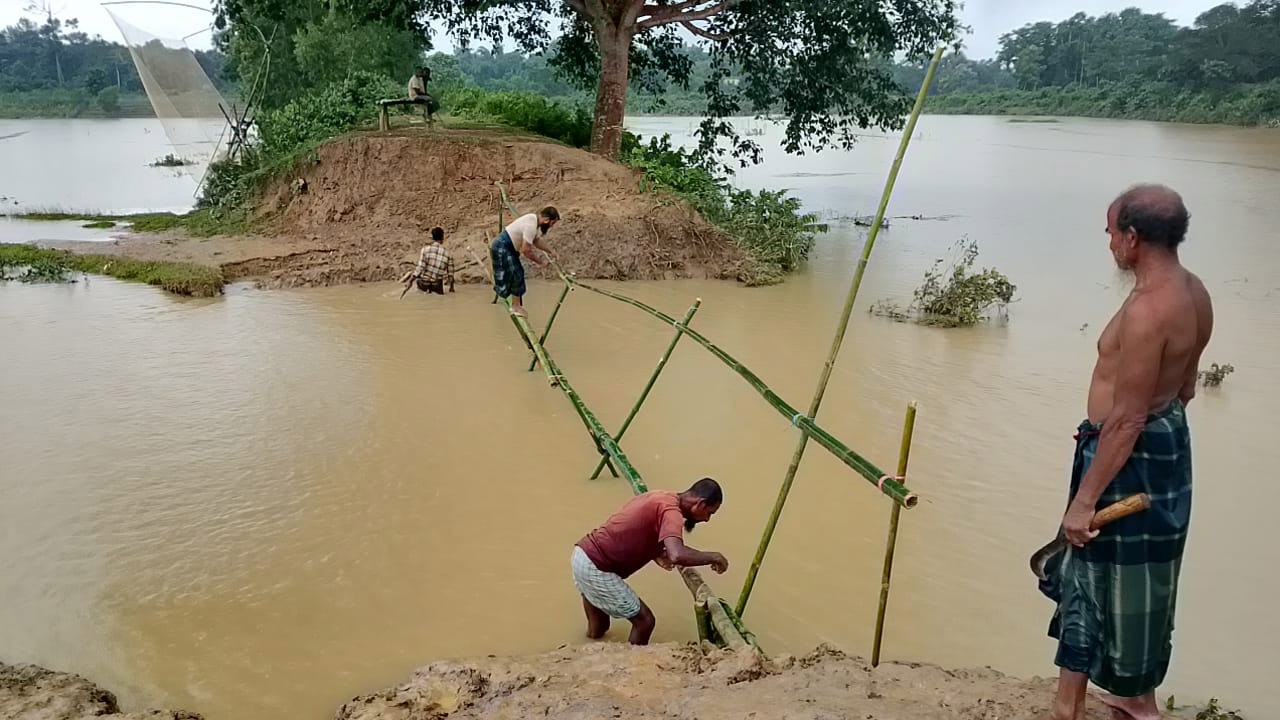 অরক্ষিত বাঁধের উপর নির্মিত অস্থায়ী সেতু চলাচলের একমাত্র ভরসা