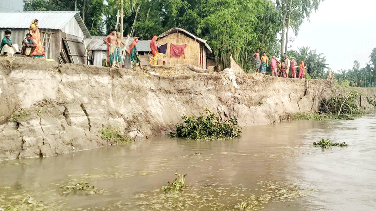 অব্যাহত ভাঙনের ফলে নদী তীরের খুব কাছকাছি চলে এসেছে বসতভিটা ও গাছপালা