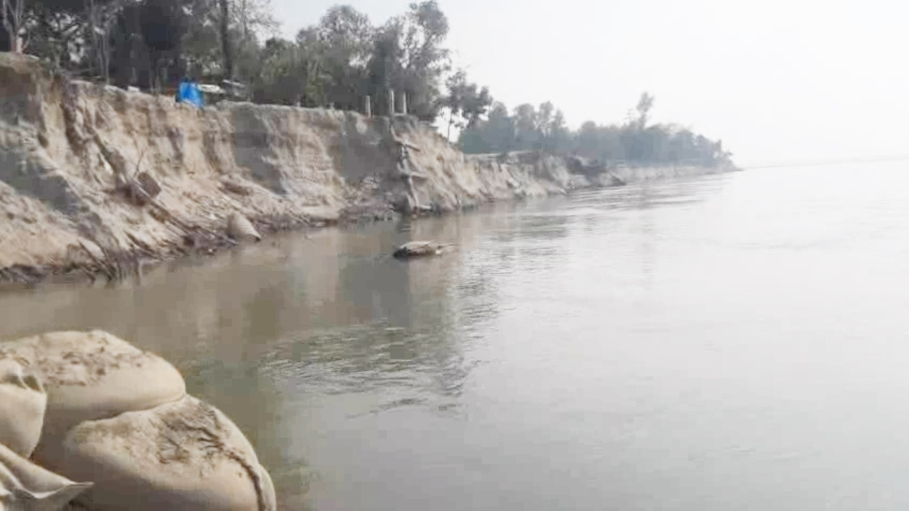 নদী ভাঙনে বিলীন হচ্ছে ঘর-বাড়ি, ফসলি জমি