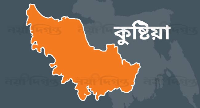 কুষ্টিয়া জেলার ম্যাপ