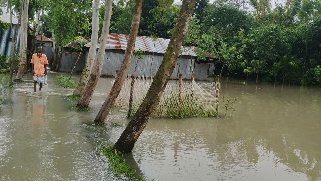 নদীর পানি কমলেও তিস্তাপাড়ের নিম্নাঞ্চলের মানুষের দুর্ভোগ কমেনি